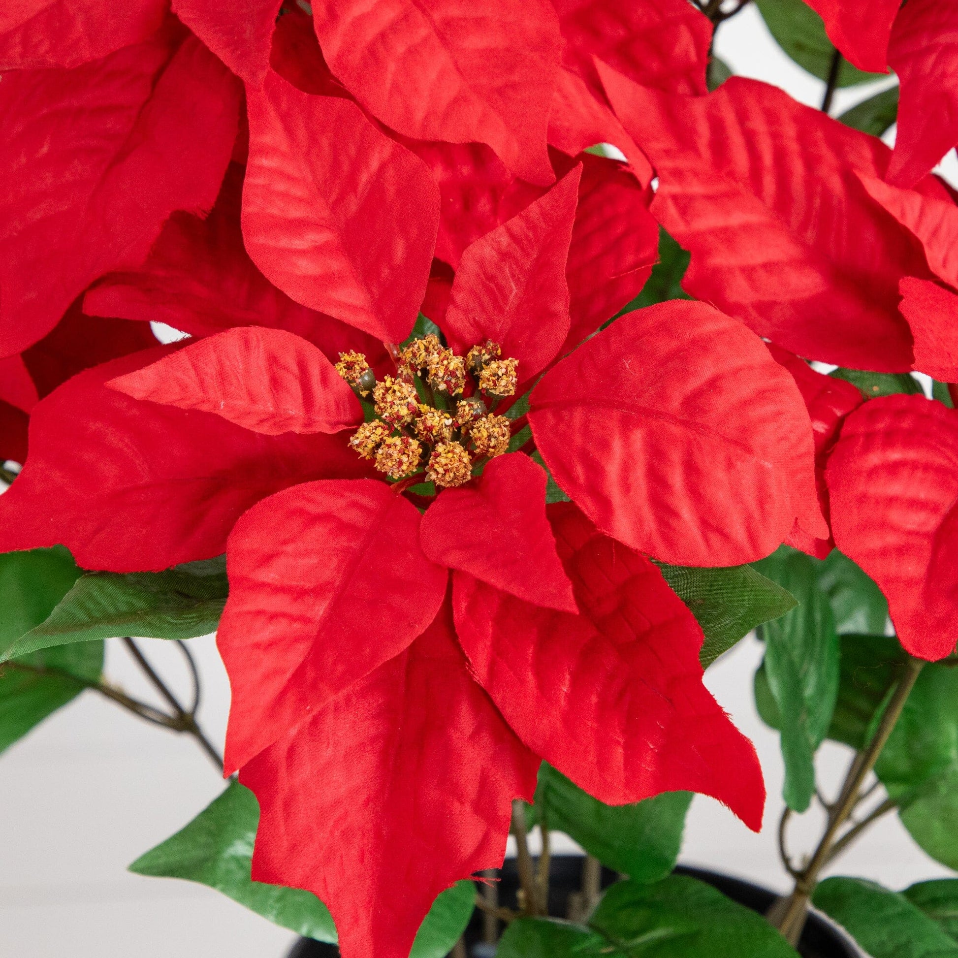 22-inch artificial poinsettia plant with bright red bracts and green leaves in planter on Tampa Home & Garden Store
