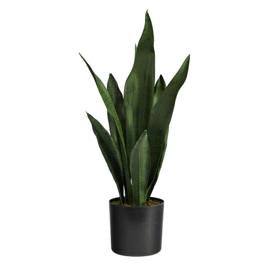 22" Sansevieria Artificial Plant - Tampa Home & Garden Store