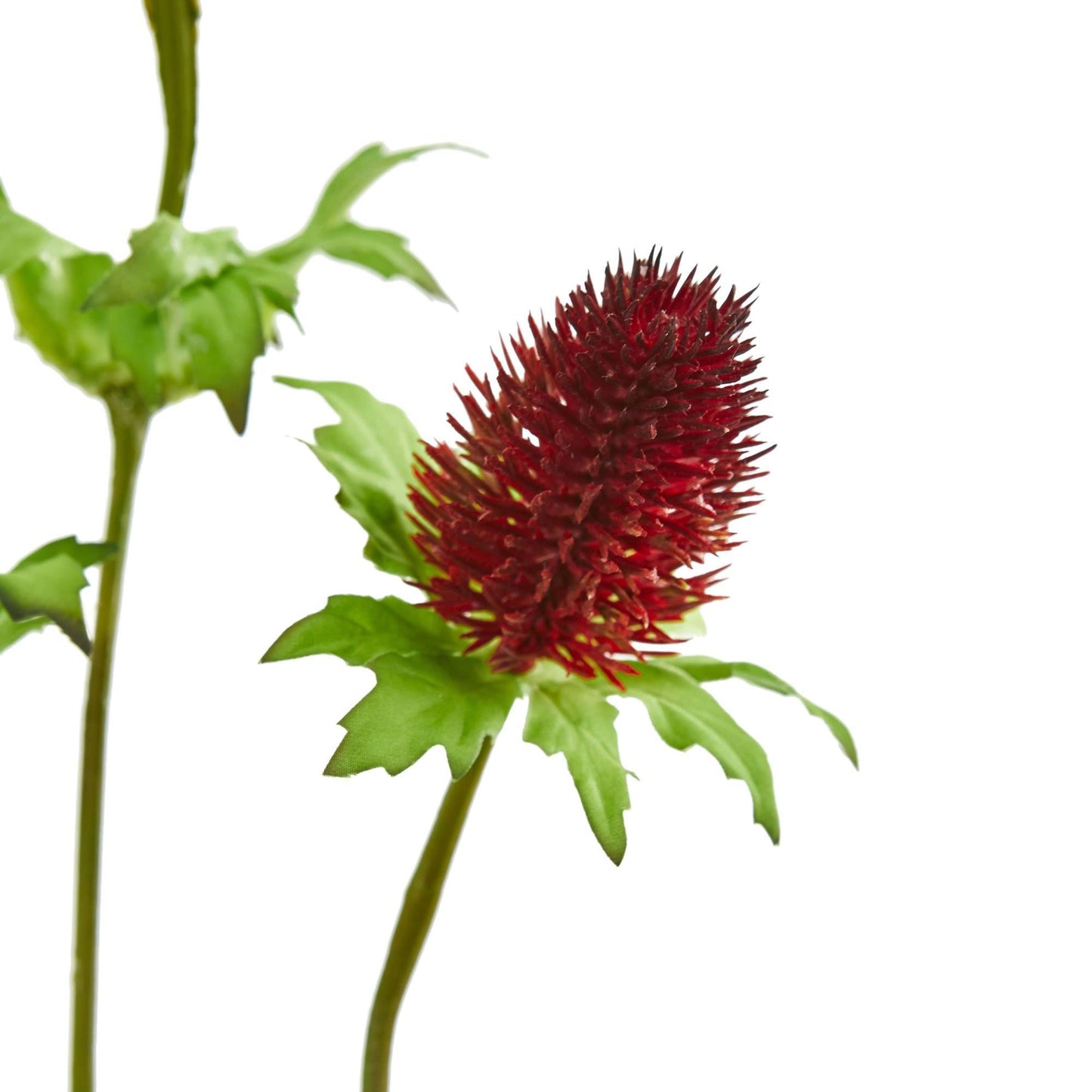 Thistle artificial flower 22in, red spiky bloom with green leaves, Nearly Natural, set of 12 on Tampa Home & Garden Store