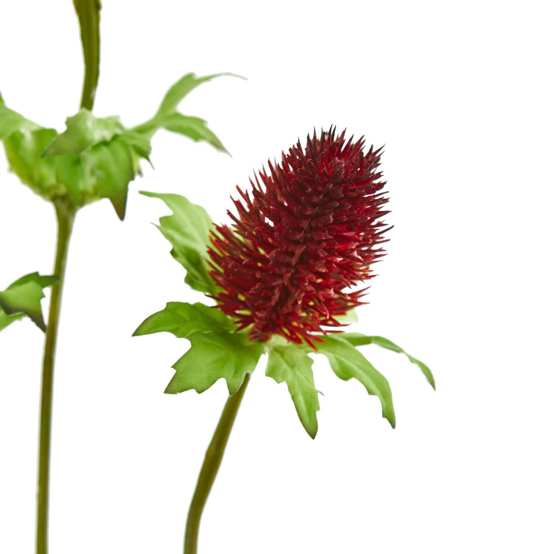 Thistle artificial flower 22in, red spiky bloom with green leaves, Nearly Natural, set of 12 on Tampa Home & Garden Store