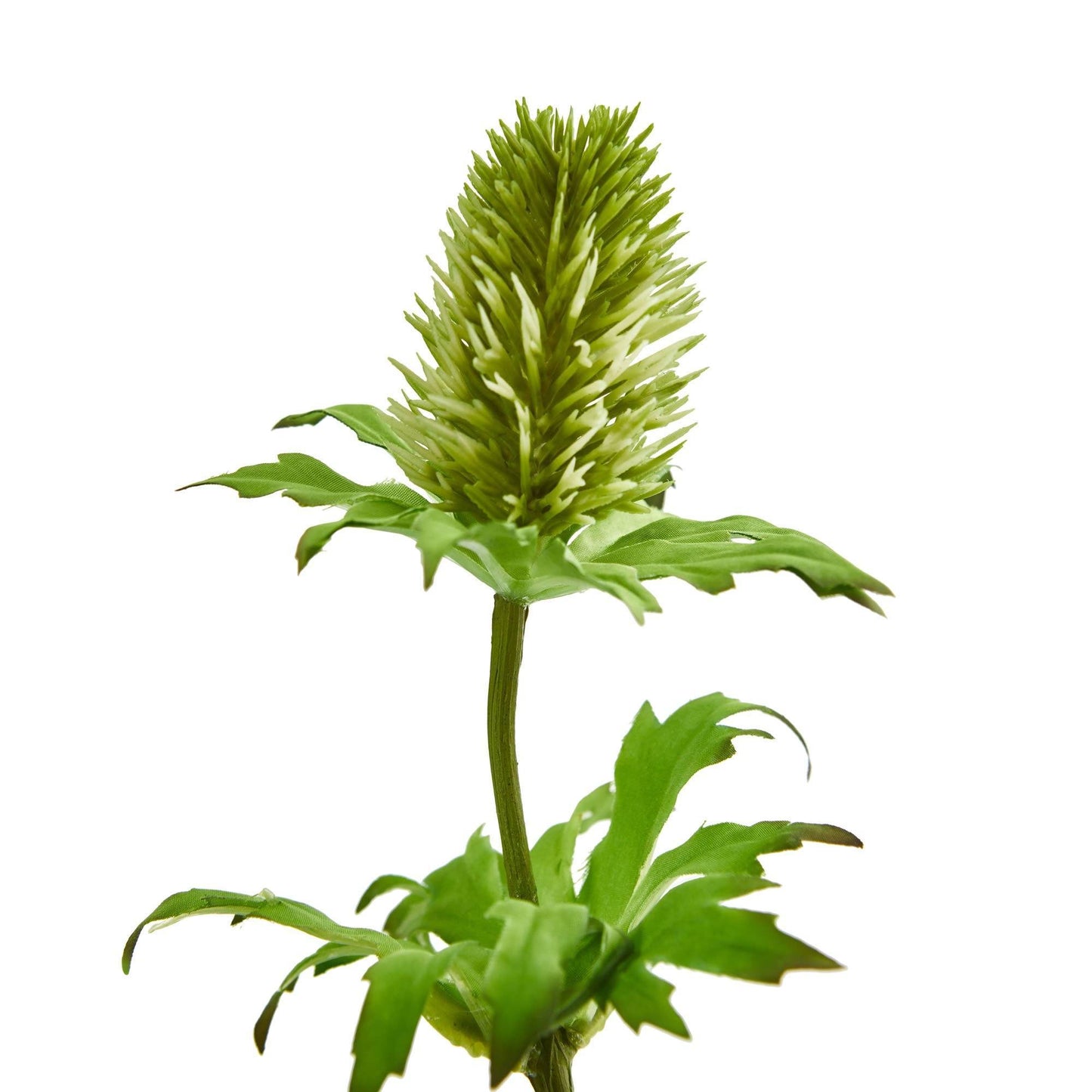Nearly Natural 22in Thistle artificial flower, green spiky bloom with leaves, set of 12 on Tampa Home & Garden Store