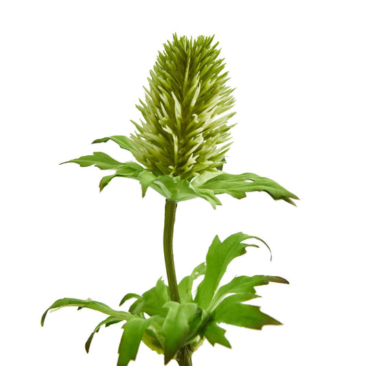 Nearly Natural 22in Thistle artificial flower, green spiky bloom with leaves, set of 12 on Tampa Home & Garden Store