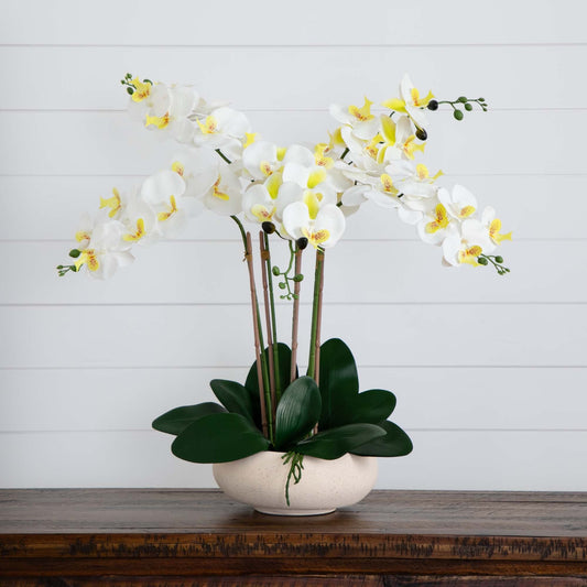 23” Artificial Phalaenopsis Orchid Arrangement in White Ceramic Planter (Real Touch) - Tampa Home & Garden Store