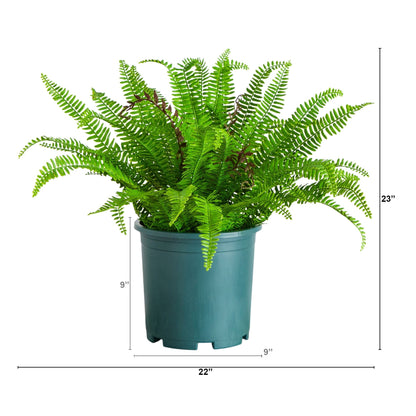 Artificial Boston fern plant 23-in UV resistant, Nearly Natural, teal pot for indoor/outdoor use on Tampa Home & Garden Store
