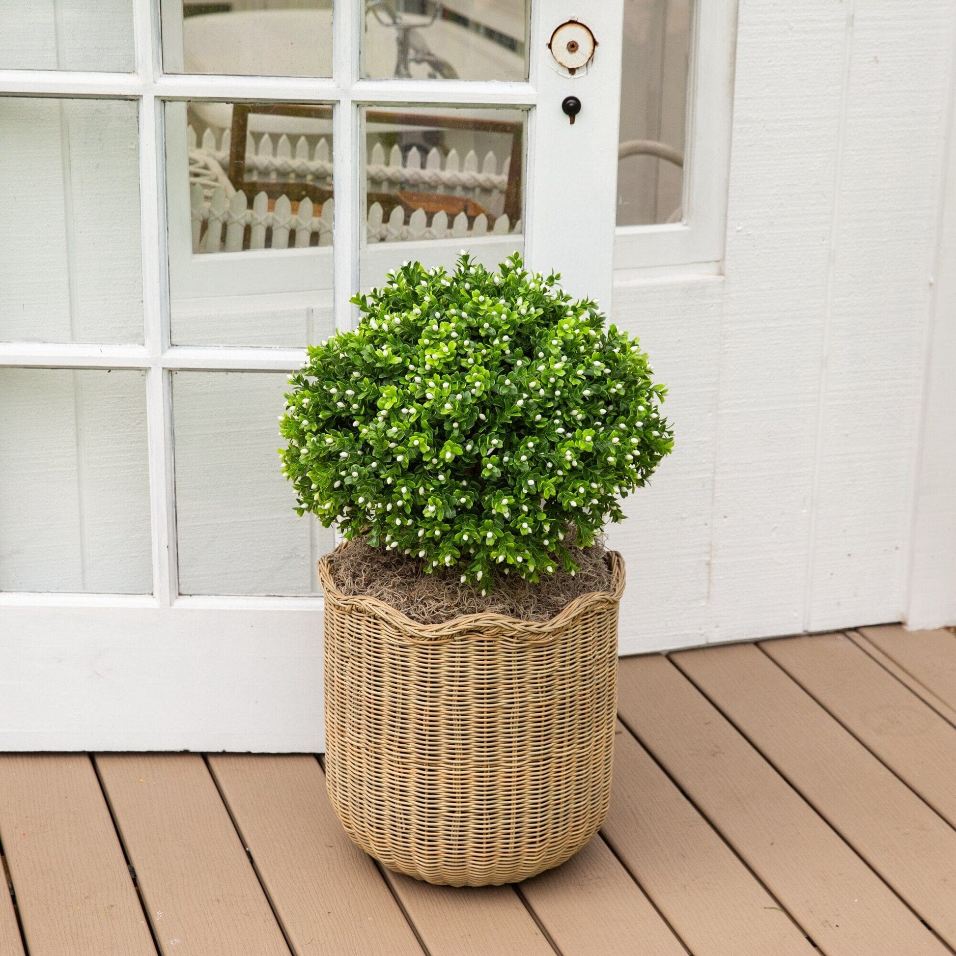 Artificial flowering boxwood topiary 23in in a woven wicker basket with green foliage on a deck on Tampa Home & Garden Store