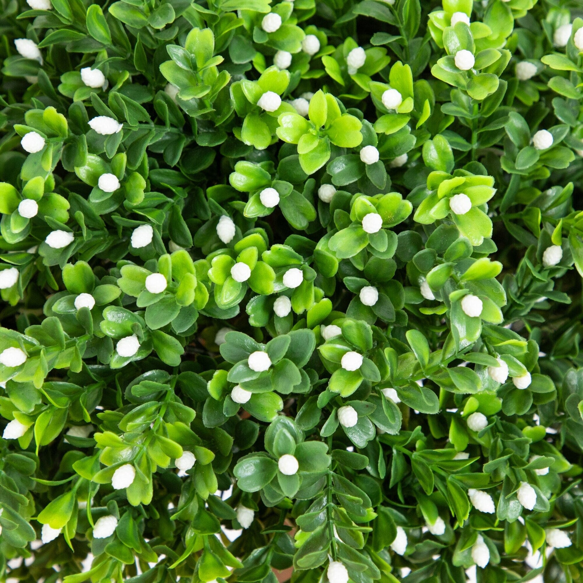 Nearly Natural 23in UV-resistant artificial boxwood topiary with leaves and white blooms on Tampa Home & Garden Store