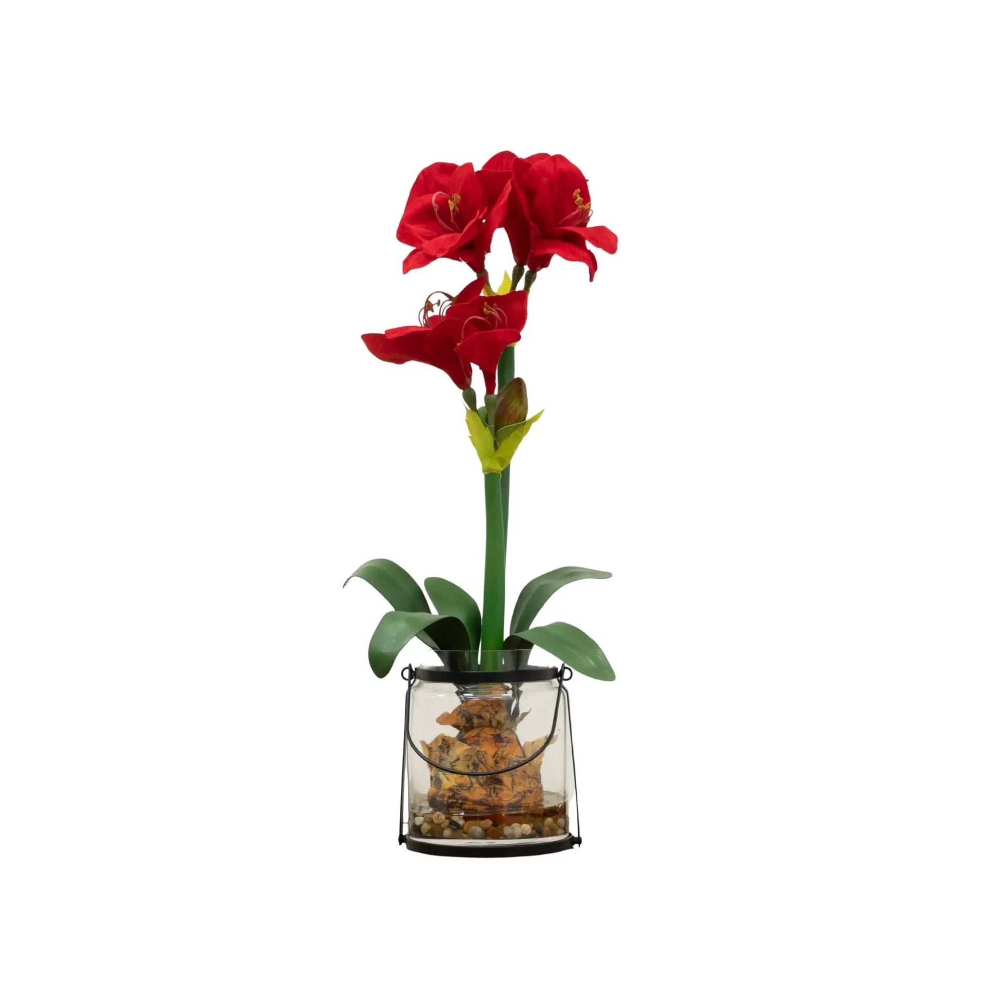 24-inch Amaryllis artificial blooms in glass vase with green leaves by Nearly Natural on Tampa Home & Garden Store