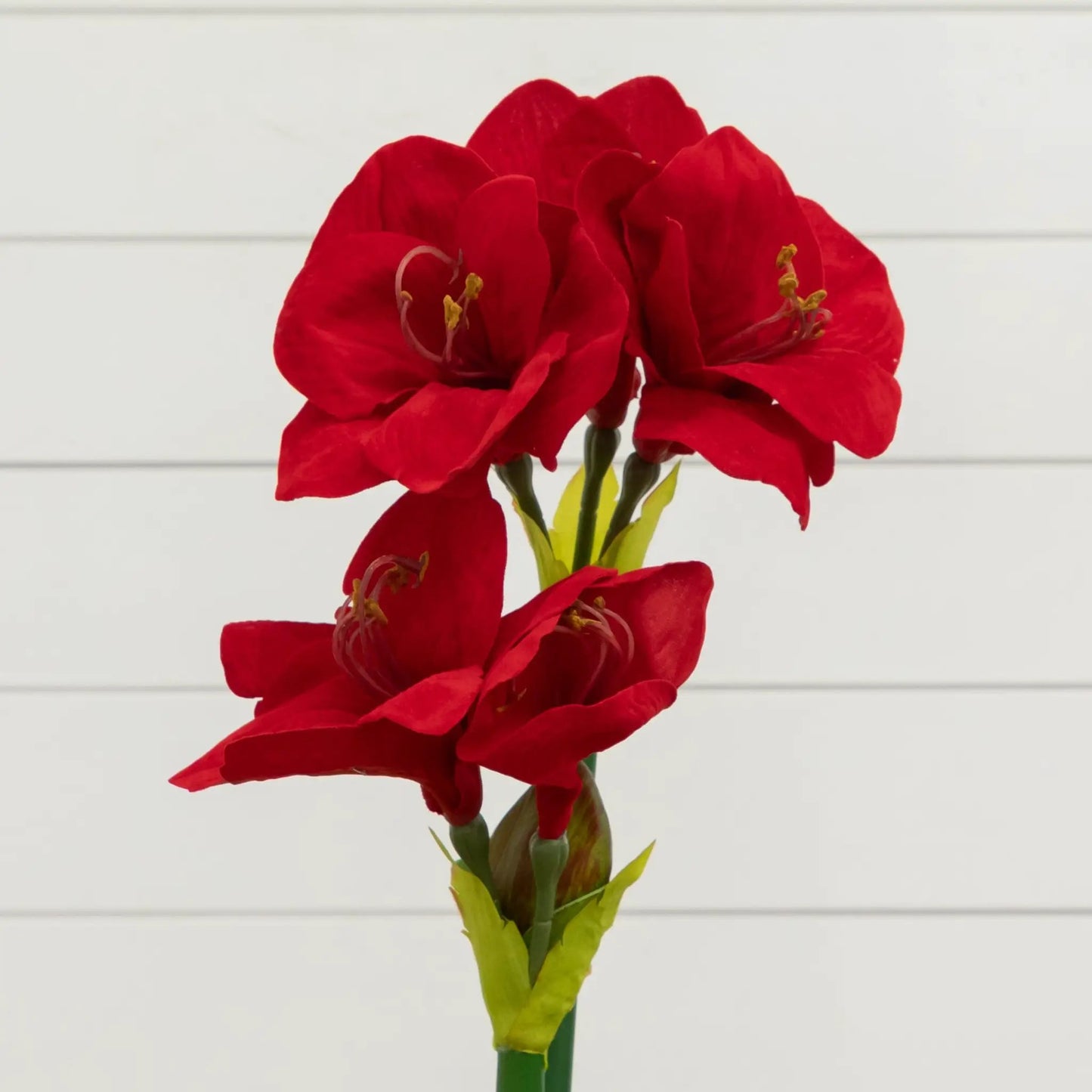 24 Inch Amaryllis in Glass Vase with Blooms artificial red petals and yellow anthers on Tampa Home & Garden Store