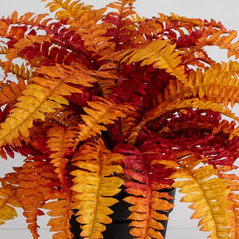 24” Autumn Artificial Fall Boston Fern Plant orange yellow red fronds Nearly Natural on Tampa Home & Garden Store