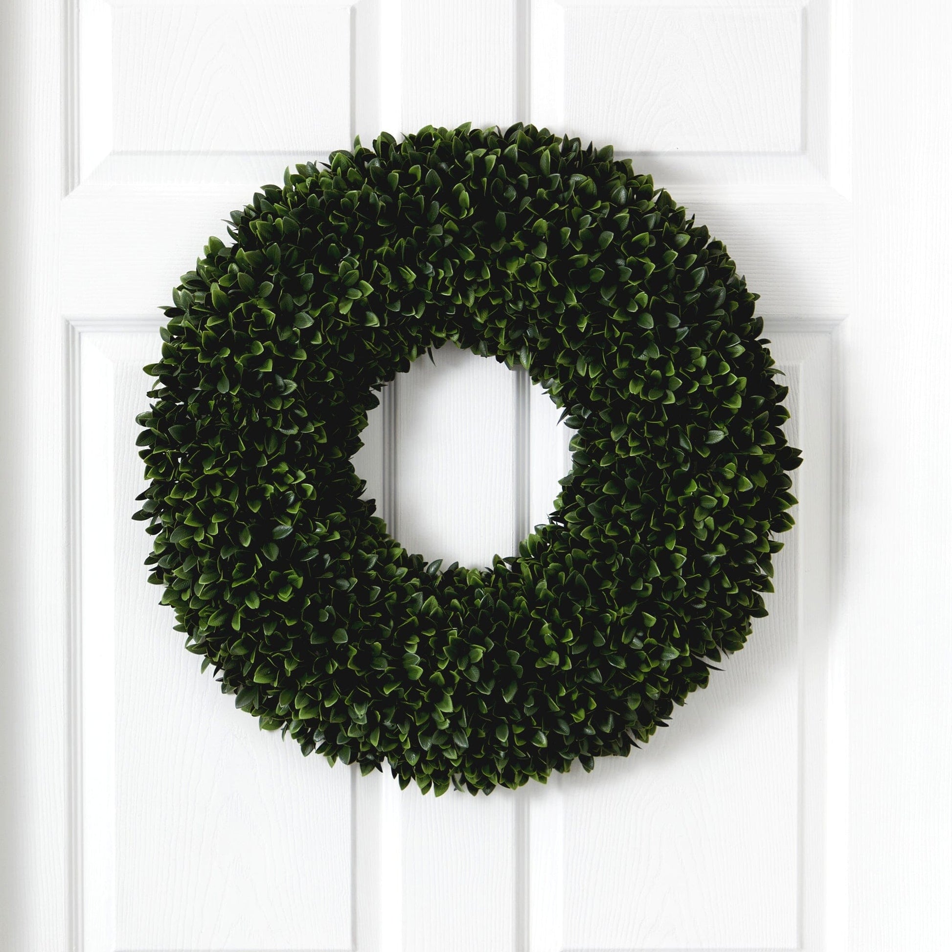 Boxwood artificial wreath 24in Nearly Natural with lush green leaves on white door on Tampa Home & Garden Store