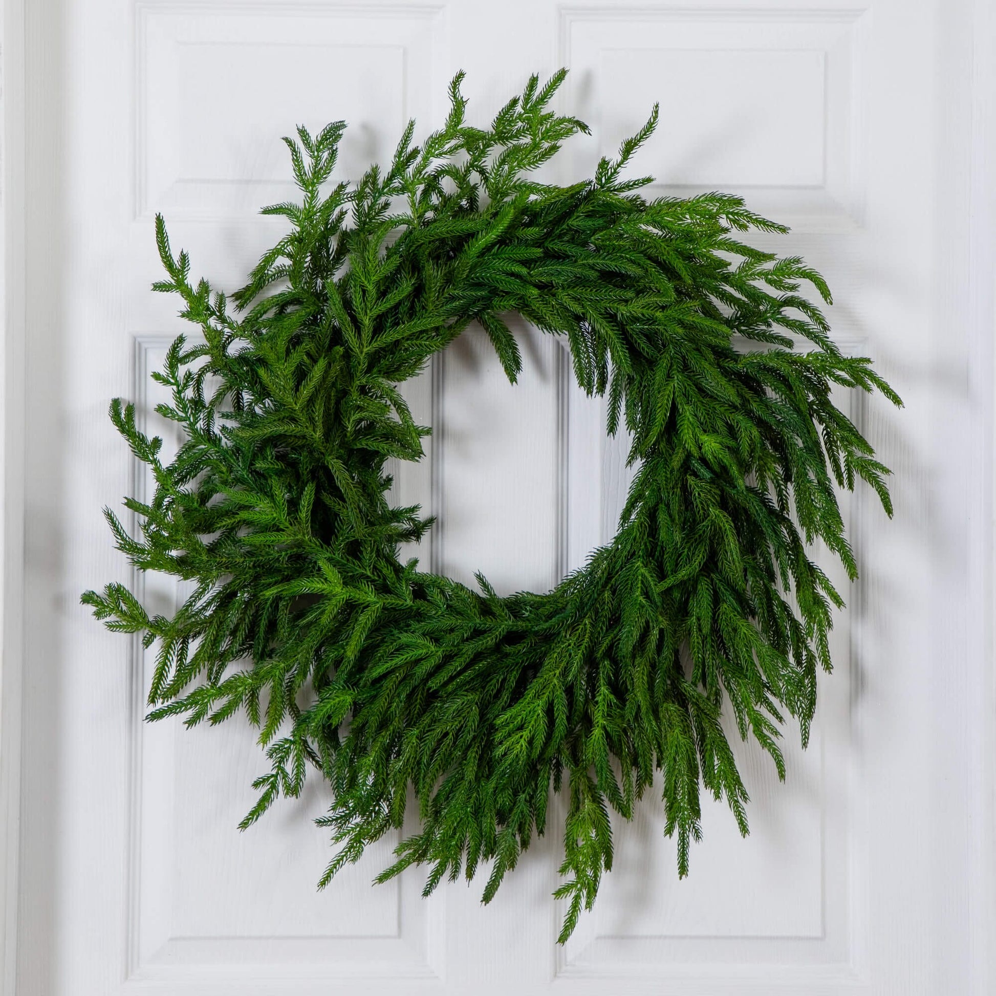Wreath 24in artificial Norfolk Island Pine Nearly Natural real-touch greens with natural look on Tampa Home & Garden Store