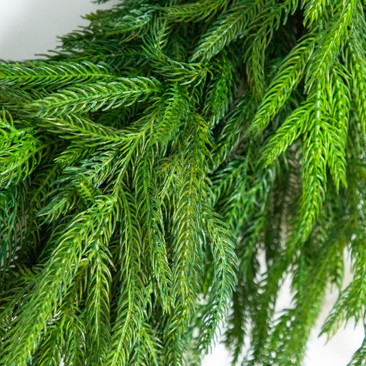 Wreath 24in artificial Norfolk Island Pine Real Touch green needles Nearly Natural on Tampa Home & Garden Store
