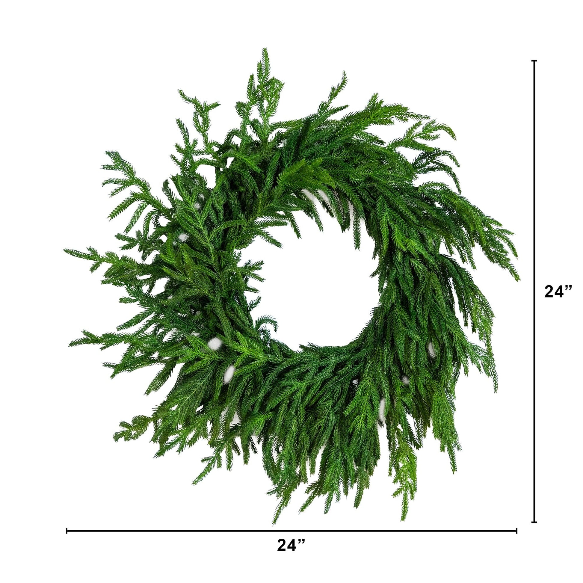 Wreath 24in artificial Norfolk Island Pine with natural look by Nearly Natural on Tampa Home & Garden Store