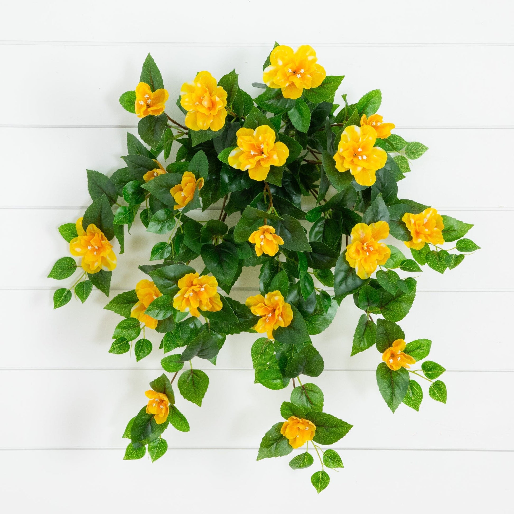 24-inch UV-Resistant azalea hanging plant set of 3 with yellow blooms and green leaves on Tampa Home & Garden Store