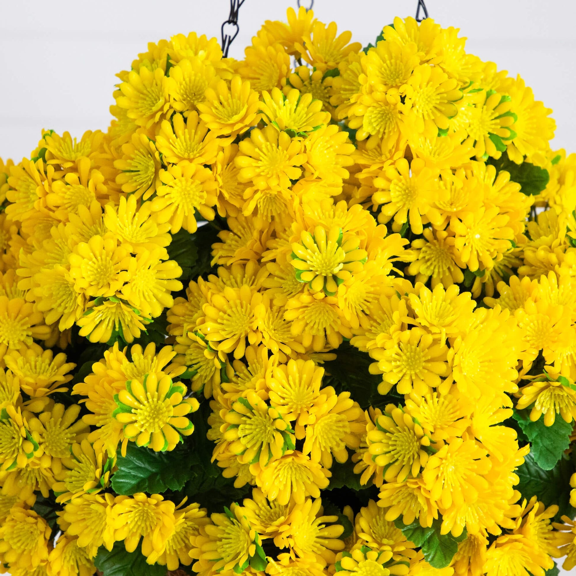 24in UV resistant artificial chrysanthemum hanging basket Nearly Natural yellow blooms on Tampa Home & Garden Store