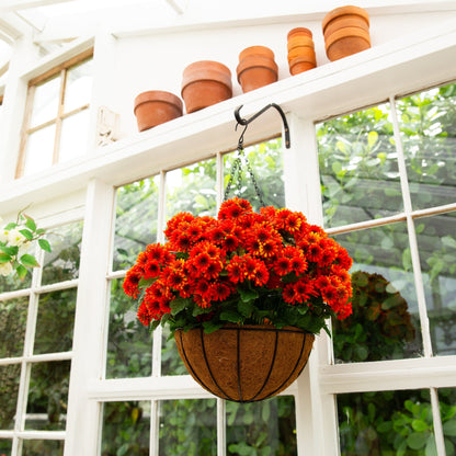 Nearly Natural 24in UV-resistant artificial chrysanthemum hanging basket with orange blooms on Tampa Home & Garden Store