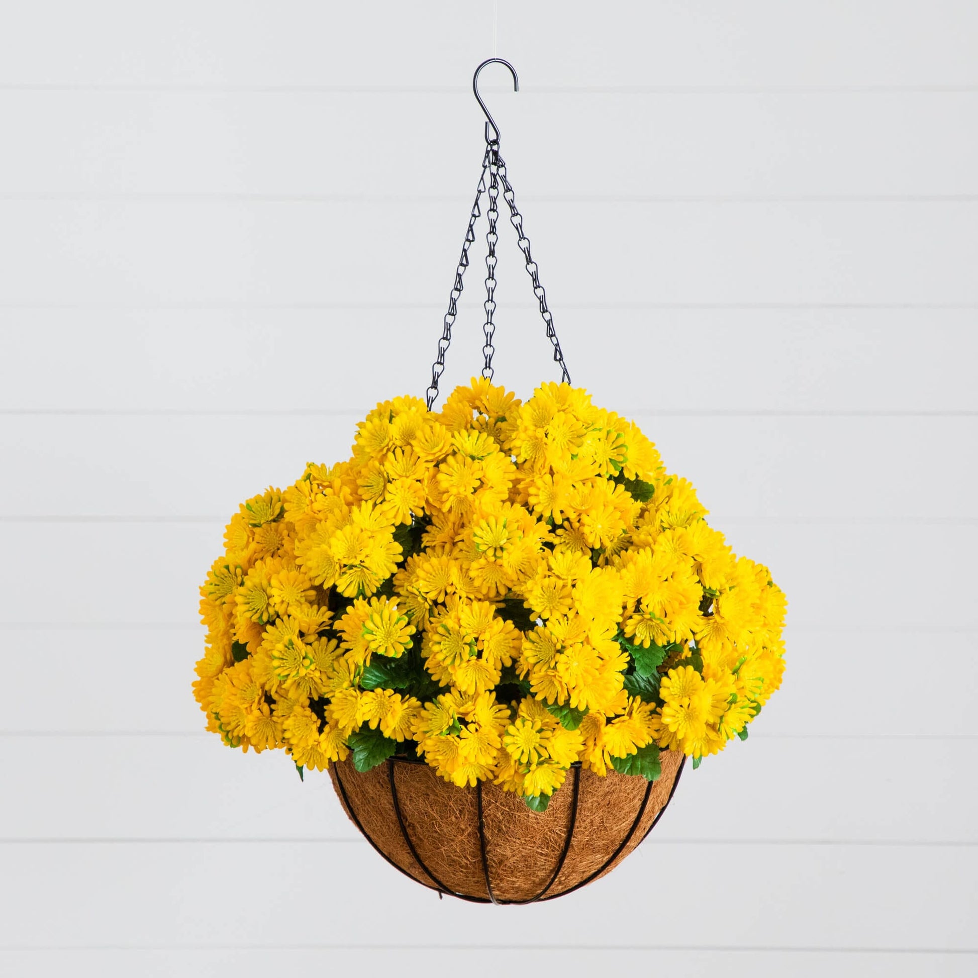 Nearly Natural 24in UV-Resistant Artificial Chrysanthemum Hanging Basket with yellow blooms on Tampa Home & Garden Store