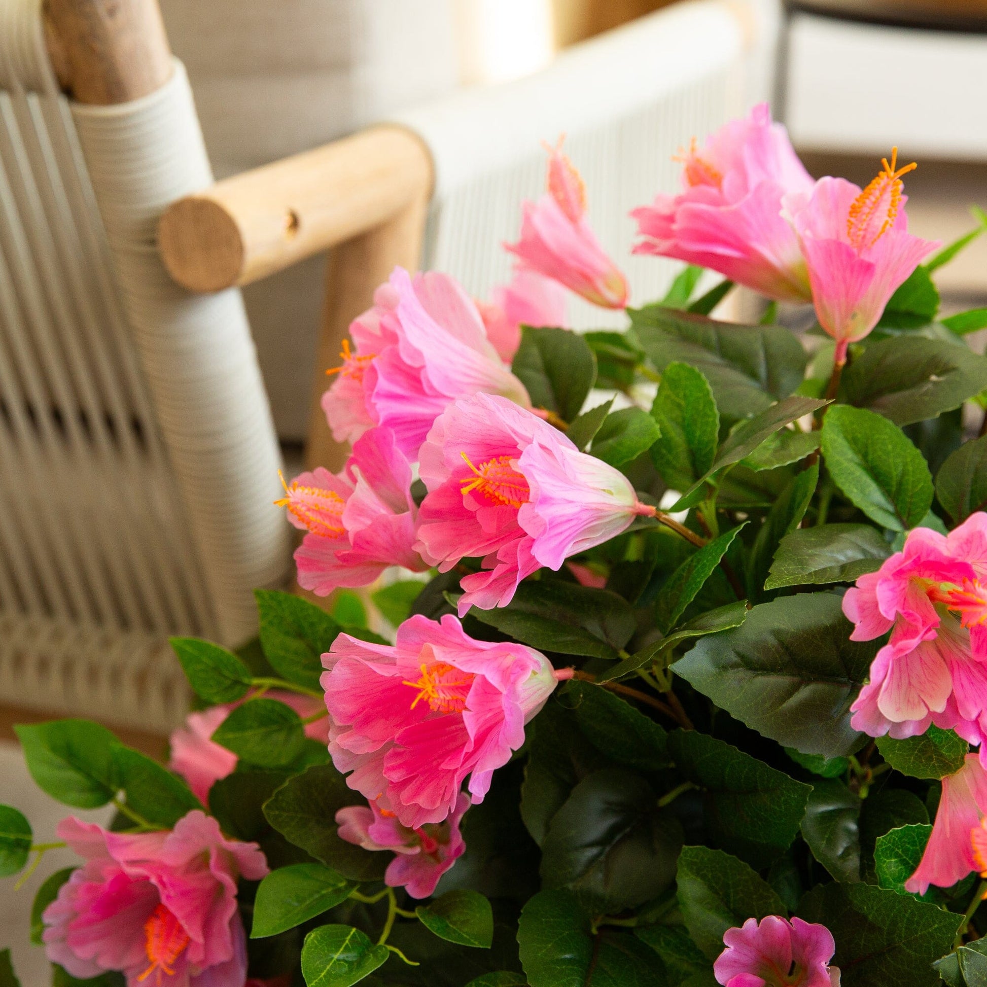 24-inch UV-resistant hibiscus hanging plant set of 2 with pink blooms and green leaves on Tampa Home & Garden Store