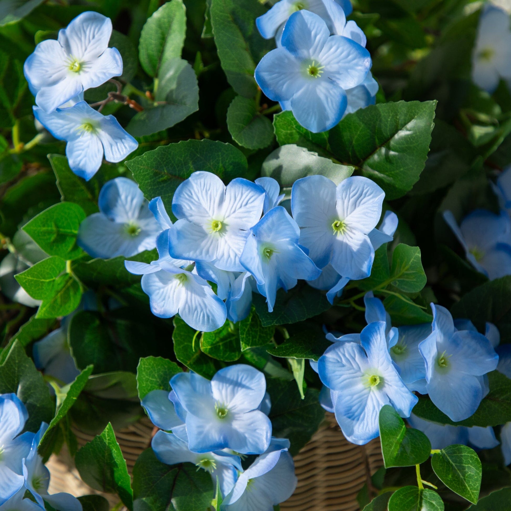 Hydrangea hanging plant 24in UV artificial blue blooms, set of 2 by Nearly Natural on Tampa Home & Garden Store