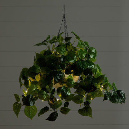 Artificial Philodendron and Glowing Hanging Basket