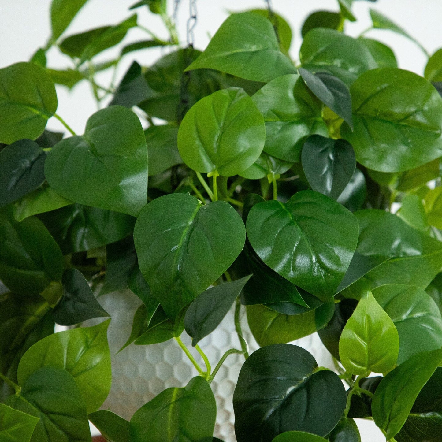 Artificial Philodendron and Glowing Hanging Basket