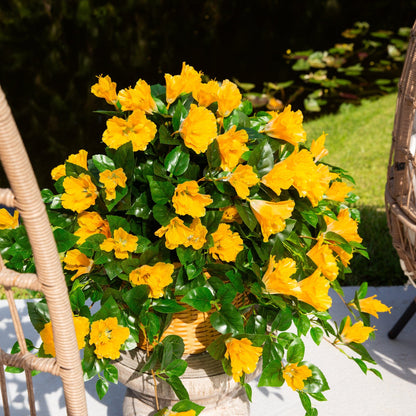 Hanging artificial hibiscus plant set of 2, 24in UV-resistant yellow blooms Nearly Natural on Tampa Home & Garden Store