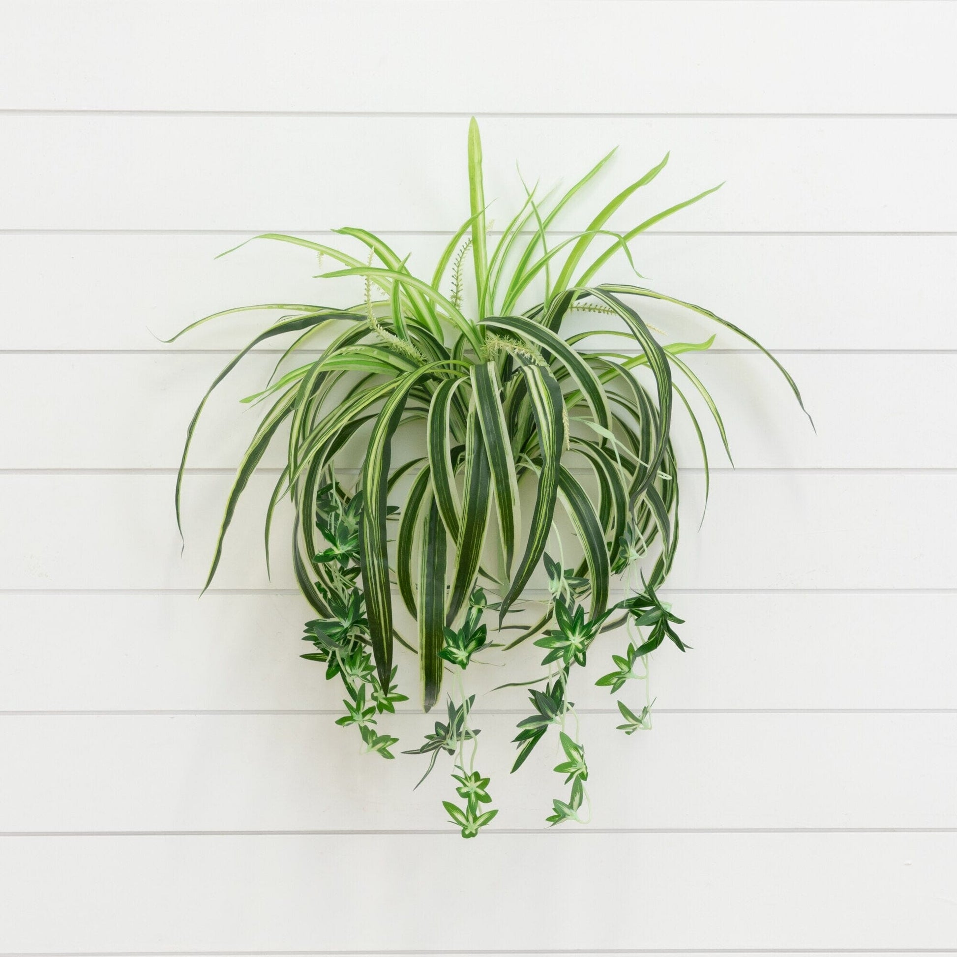 Artificial Spider Bush 24in Set of 3 by Nearly Natural with variegated green cream leaves on Tampa Home & Garden Store