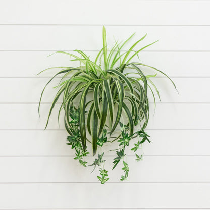 Artificial Spider Bush 24in Set of 3 by Nearly Natural with variegated green cream leaves on Tampa Home & Garden Store