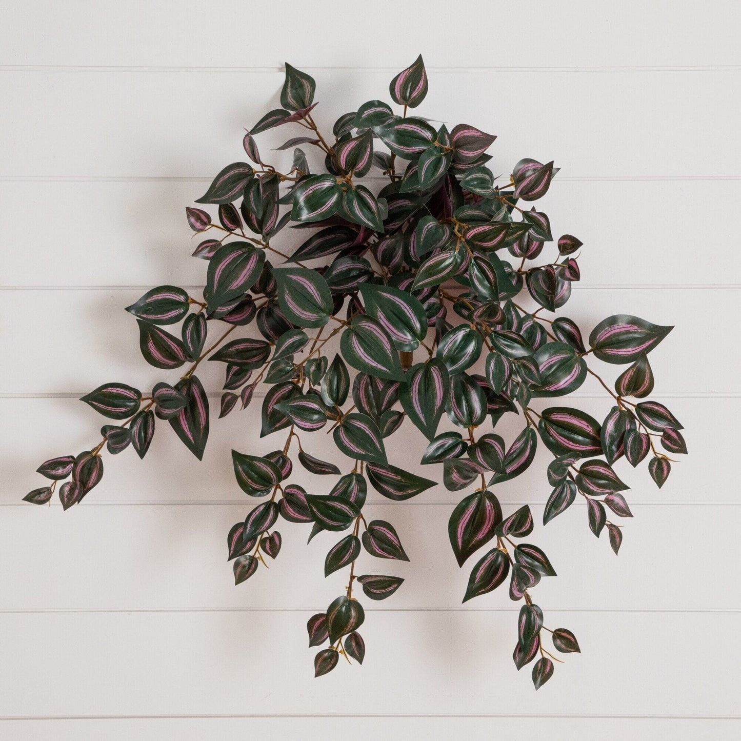 Nearly Natural 24in UV resistant Wandering Jew hanging plant set of 3 with pink-green leaves on Tampa Home & Garden Store