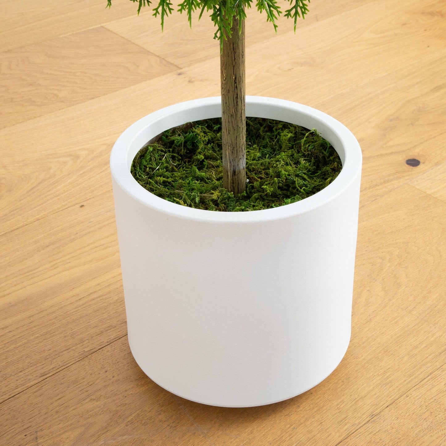 Artificial Cedar Ball With A White Planter Base