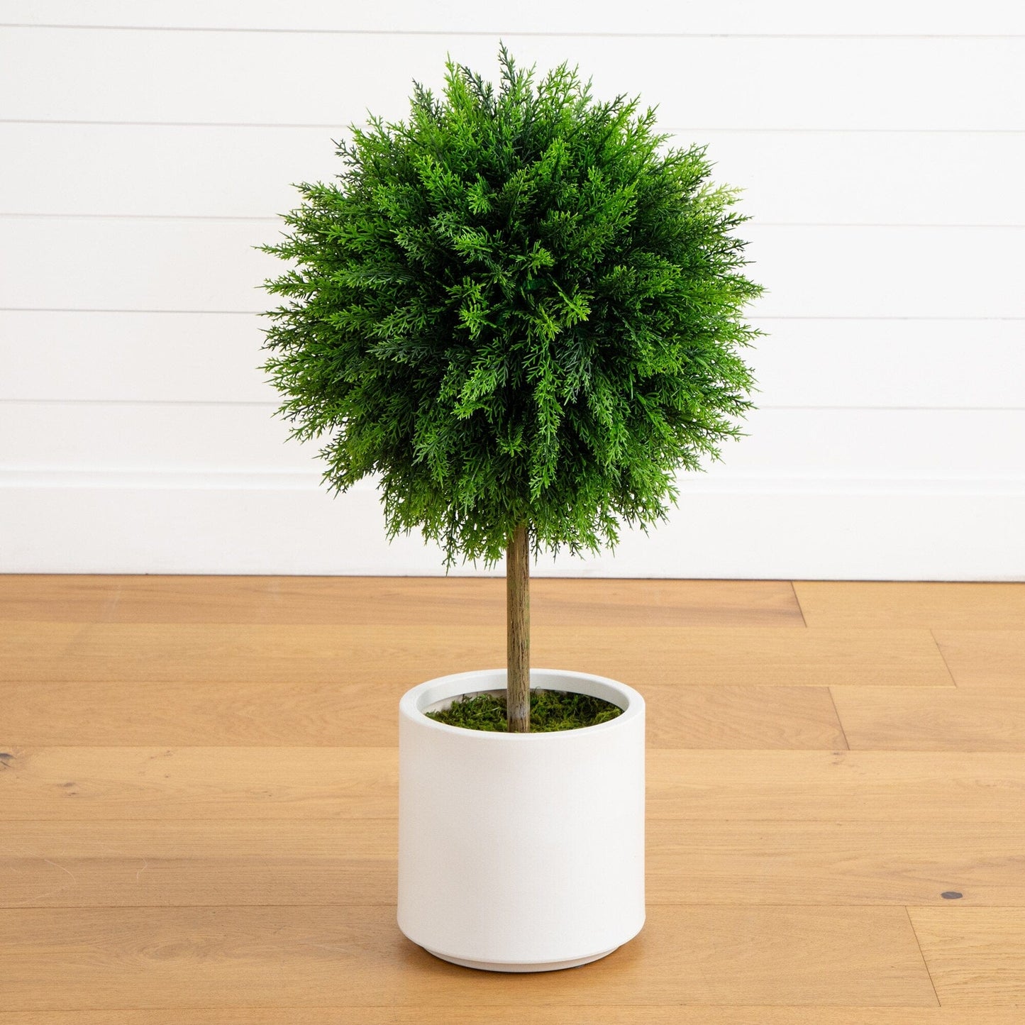 Artificial Cedar Ball With A White Planter Base