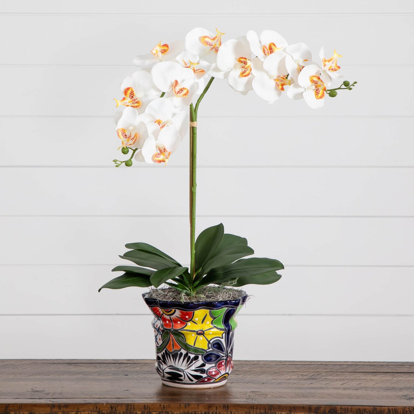 Artificial Double Orchids in Talavera Planter