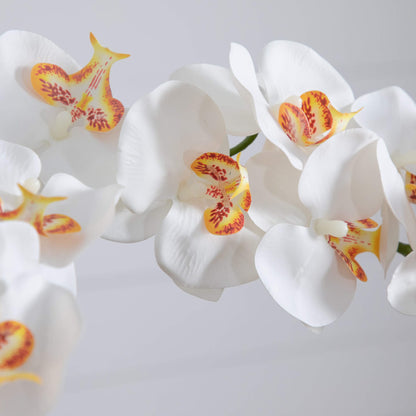 Artificial Double Orchids in Talavera Planter