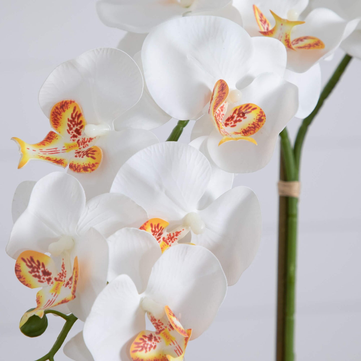 Artificial Double Orchids in Talavera Planter