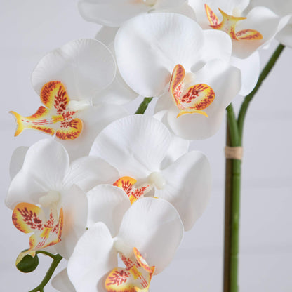 Artificial Double Orchids in Talavera Planter