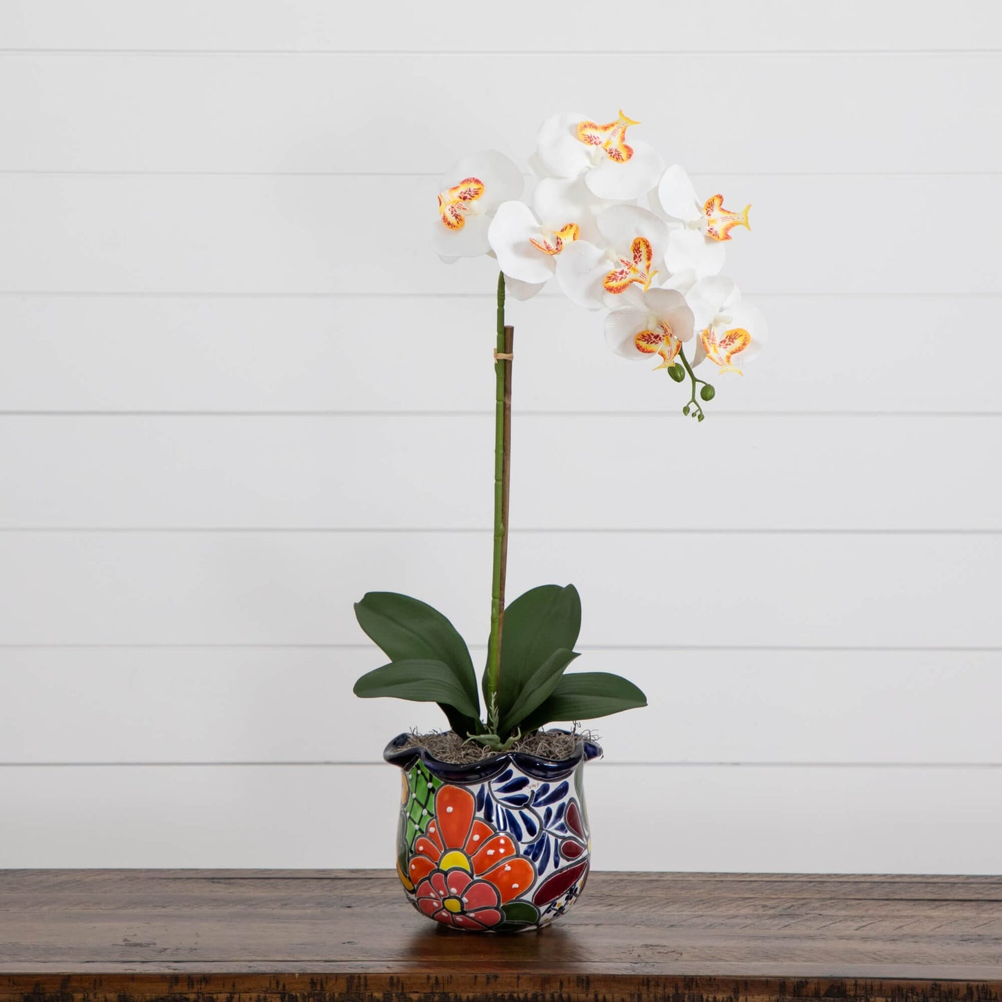Artificial Orchid in a Handmade Talavera Planter