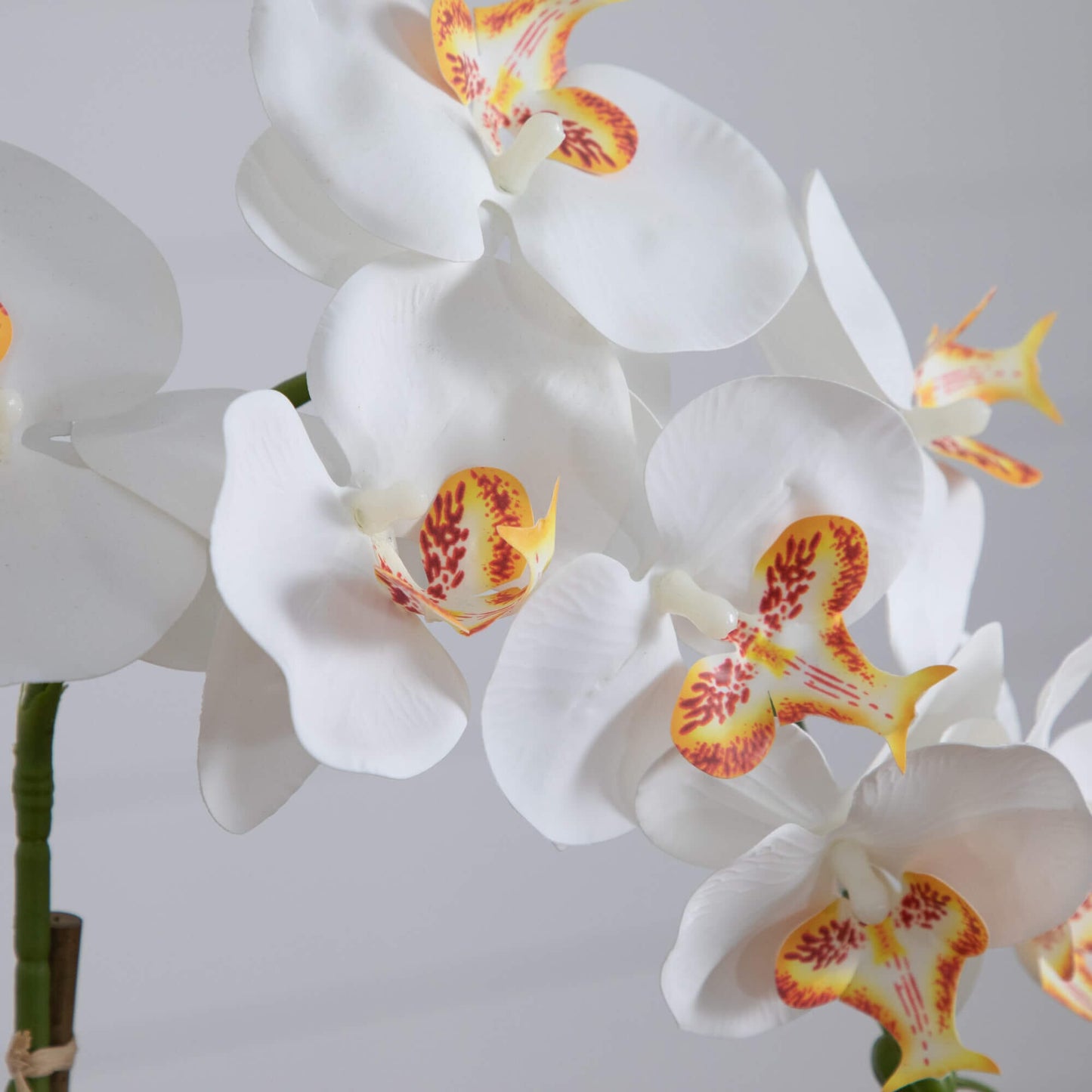 Artificial Orchid in a Handmade Talavera Planter