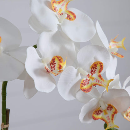 Artificial Orchid in a Handmade Talavera Planter