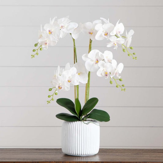 26” Artificial Phalaenopsis Orchid Arrangement in Decorative Ceramic Vase (Real Touch) - Tampa Home & Garden Store