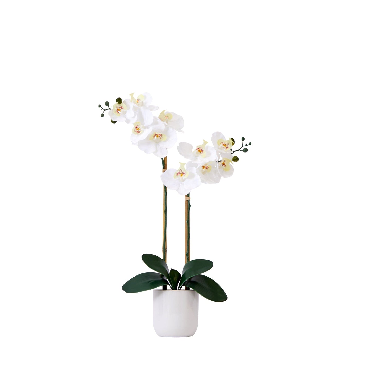 Orchidée double Phalaenopsis artificielle de 66 cm, réaliste au toucher, avec vase décoratif
