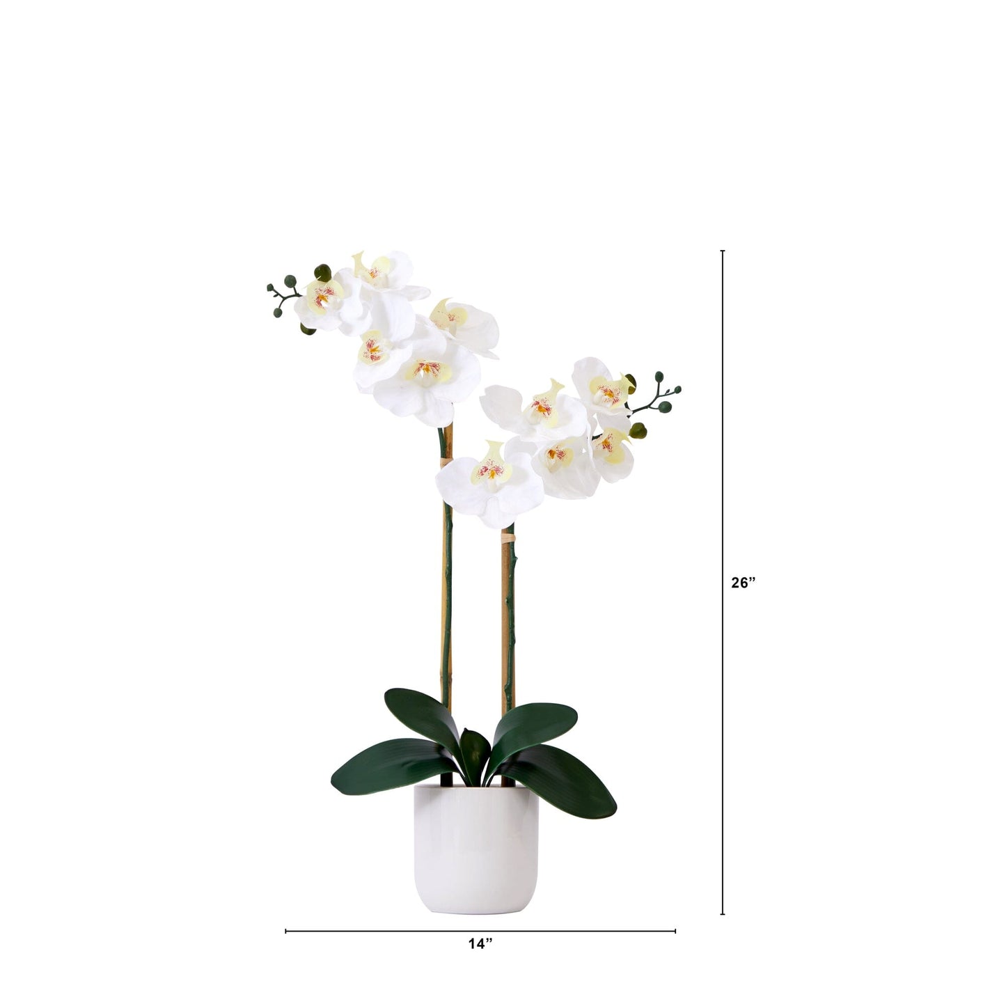 Orchidée double Phalaenopsis artificielle de 66 cm, réaliste au toucher, avec vase décoratif