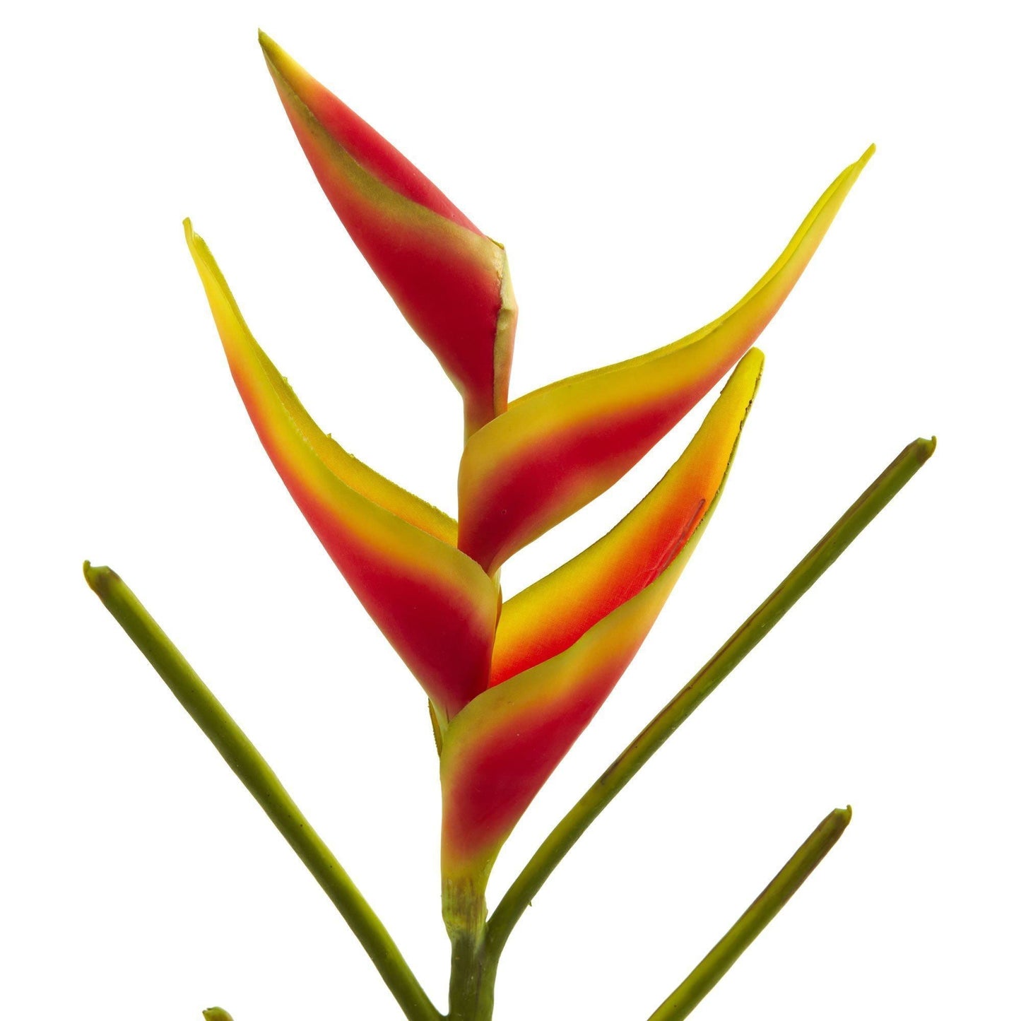 Fleur artificielle Heliconia 26'' (lot de 4)