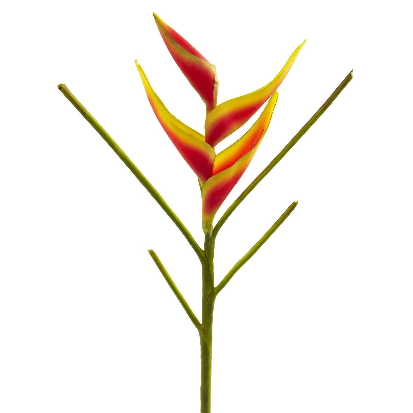 Fleur artificielle Heliconia 26'' (lot de 4)