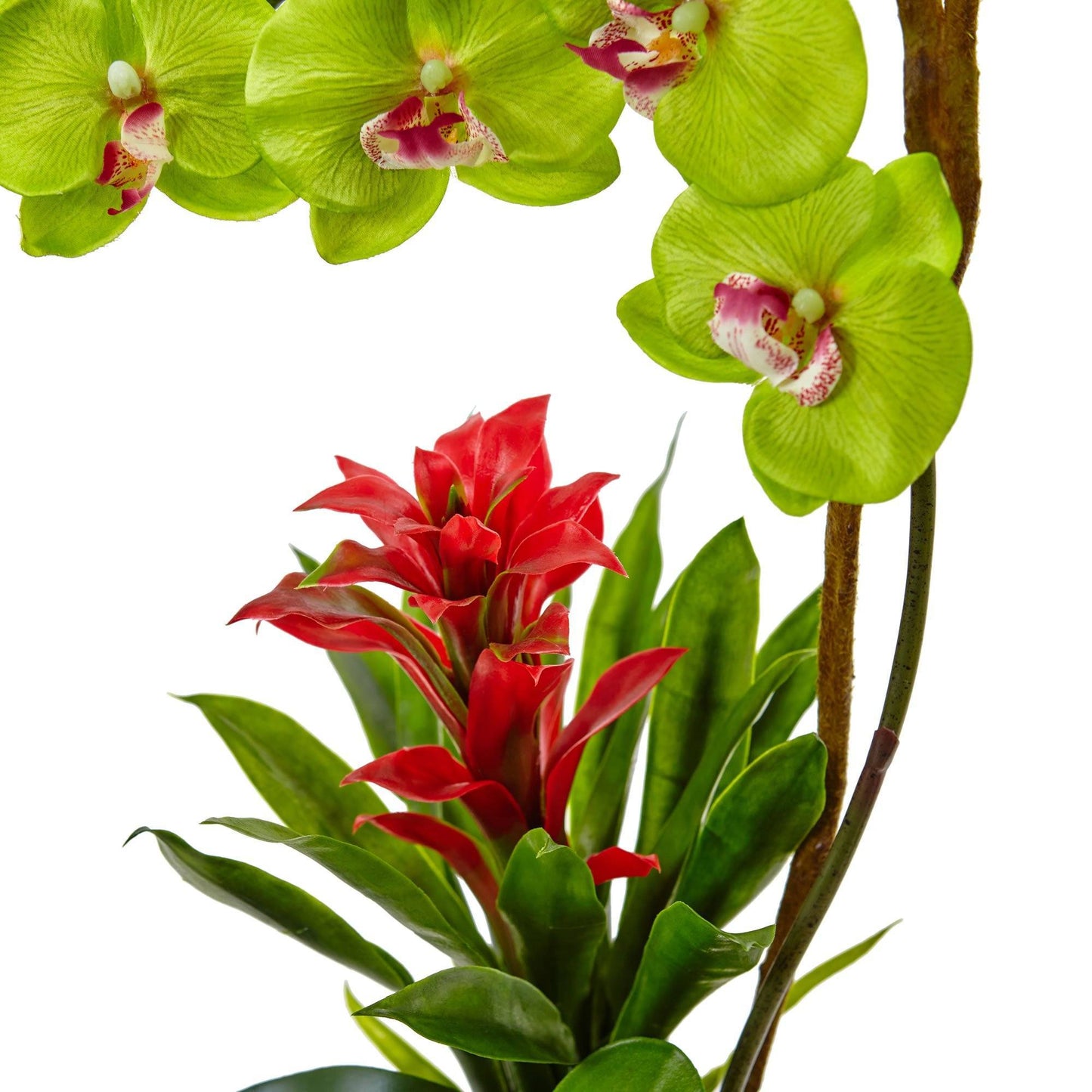 Orquídea y bromelia de 26” en cilindro negro brillante