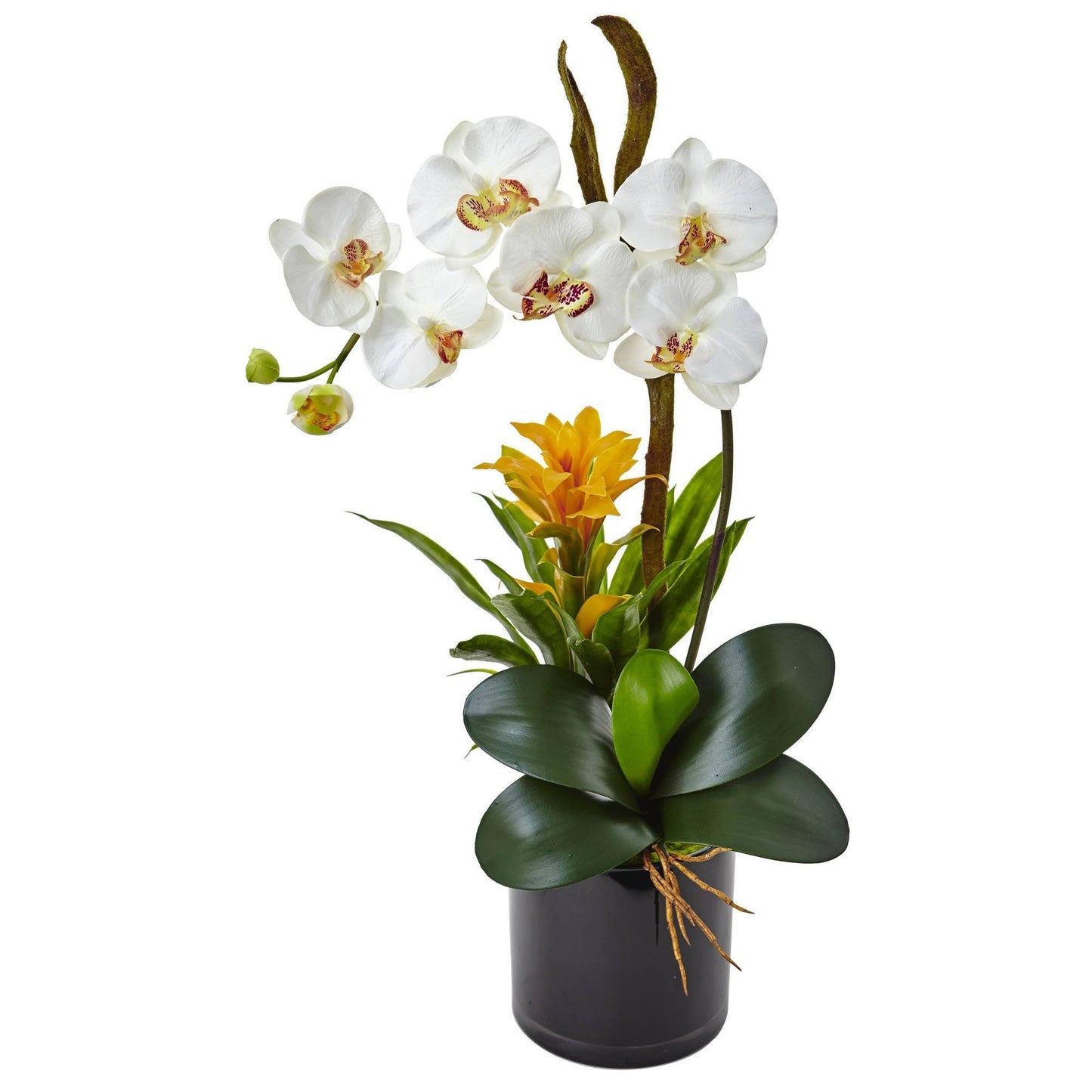 Orquídea y bromelia de 26” en cilindro negro brillante