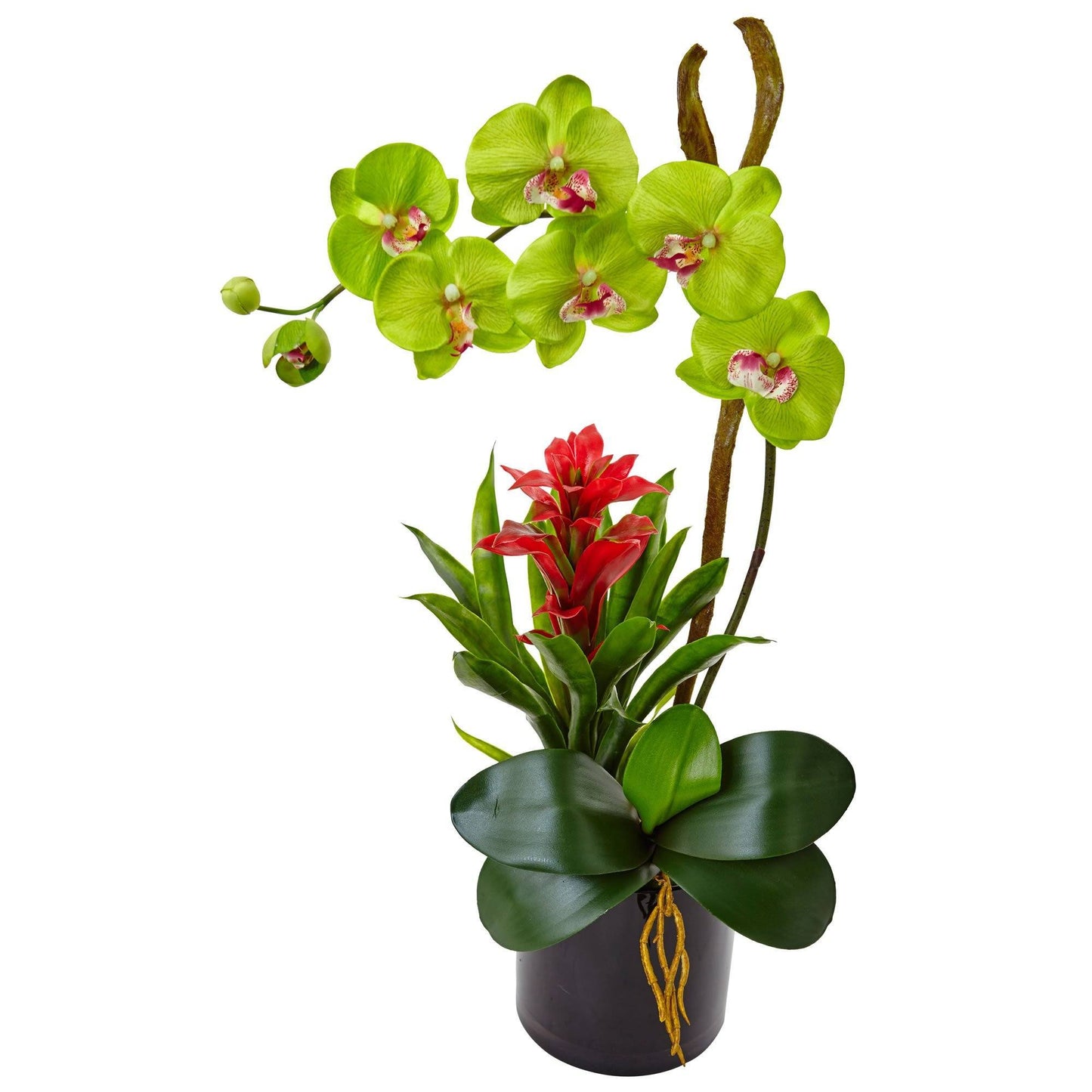 Orquídea y bromelia de 26” en cilindro negro brillante