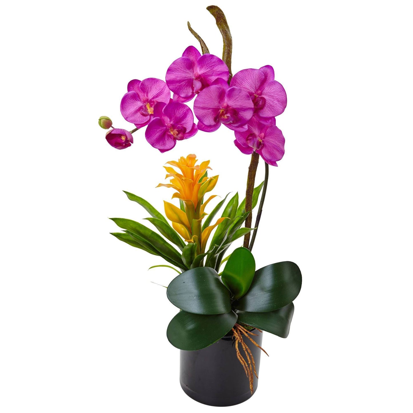 Orquídea y bromelia de 26” en cilindro negro brillante