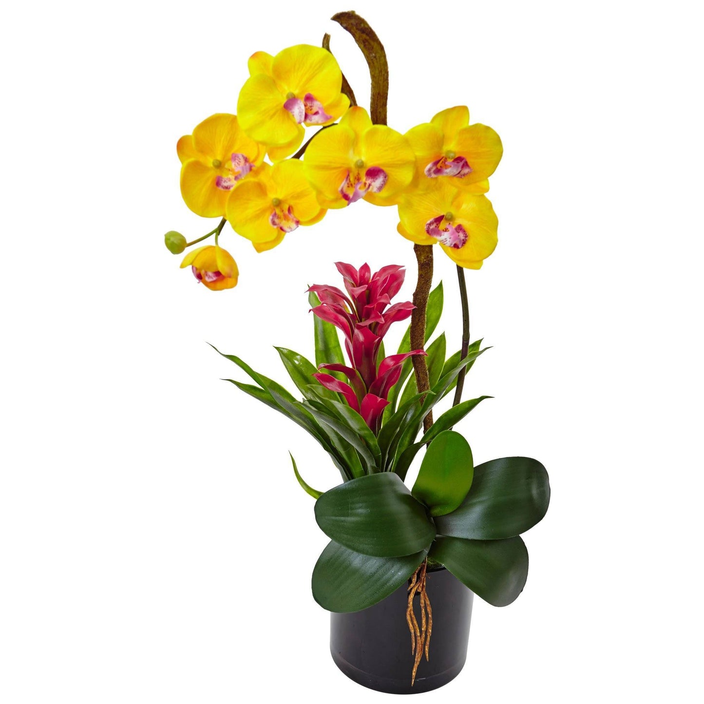Orquídea y bromelia de 26” en cilindro negro brillante