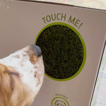 Pet training pad with UV grass in a green circular window on a white box, dog sniffing on Tampa Home & Garden Store