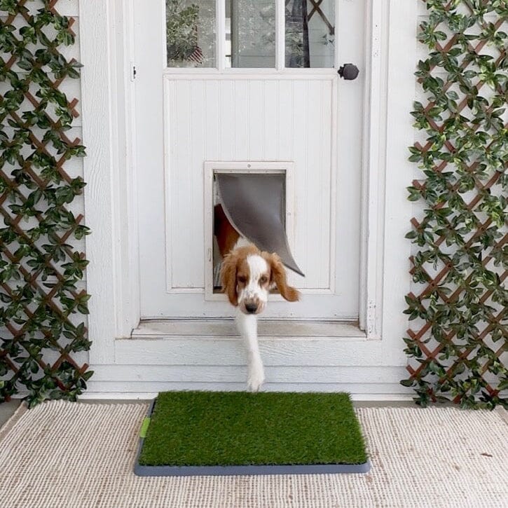 Artificial pet potty grass training pad by Nearly Natural, green turf on Tampa Home & Garden Store